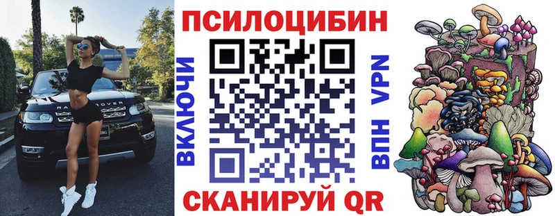 darknet Telegram  Ленинск-Кузнецкий  Галлюциногенные грибы Psilocybe 
